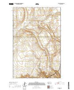 USGS US Topo 7.5-minute map for Flick Lake MT 2020