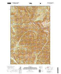 USGS US Topo 7.5-minute map for Flint Mountain MT 2020