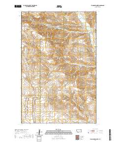 USGS US Topo 7.5-minute map for Flynn Creek North MT 2020