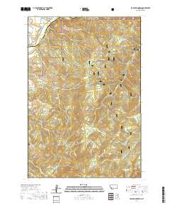USGS US Topo 7.5-minute map for Foolhen Mountain MT 2020