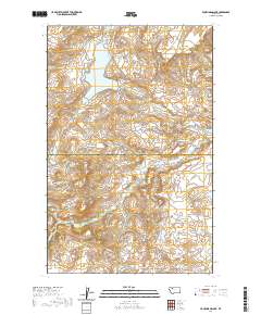 USGS US Topo 7.5-minute map for Four Horns Lake MT 2020