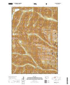USGS US Topo 7.5-minute map for Gash Point MTID 2020