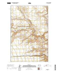 USGS US Topo 7.5-minute map for Gunsight MT 2020