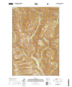 USGS US Topo 7.5-minute map for Hahn Creek Pass MT 2020
