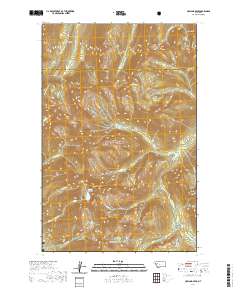 USGS US Topo 7.5-minute map for Holland Peak MT 2020
