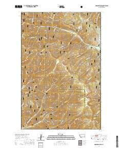 USGS US Topo 7.5-minute map for Horsehead Peak MT 2020
