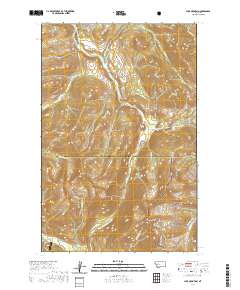 USGS US Topo 7.5-minute map for Lake Mountain MT 2020