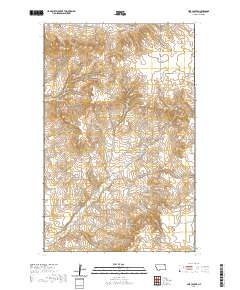 USGS US Topo 7.5-minute map for Line Coulee MT 2020