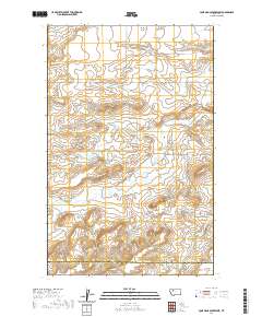 USGS US Topo 7.5-minute map for Lone Man Coulee West MT 2020