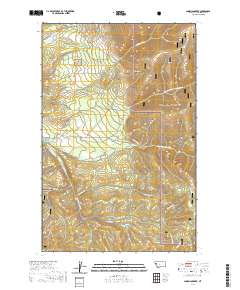 USGS US Topo 7.5-minute map for Loneman Creek MT 2020