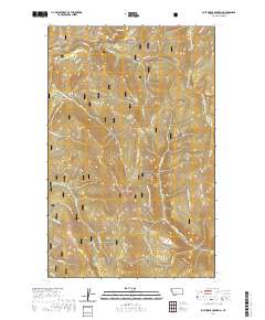 USGS US Topo 7.5-minute map for Lost Horse Mountain MT 2020