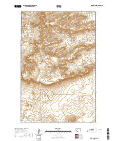 USGS US Topo 7.5-minute map for McBridy Spring MT 2020