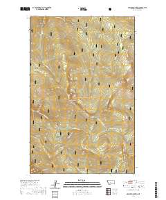 USGS US Topo 7.5-minute map for McGuire Mountain MT 2020