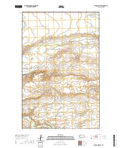 USGS US Topo 7.5-minute map for Mission Lake East MT 2020