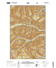 USGS US Topo 7.5-minute map for Moose Peak MT 2020
