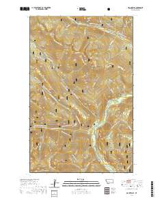 USGS US Topo 7.5-minute map for Mount Baldy MT 2020