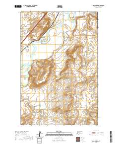 USGS US Topo 7.5-minute map for Nelson Island MT 2020