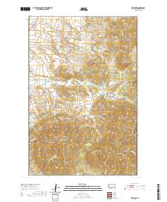USGS US Topo 7.5-minute map for New Year MT 2020