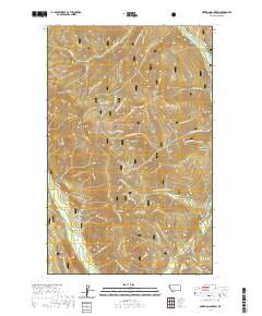 USGS US Topo 7.5-minute map for Newton Mountain MT 2020