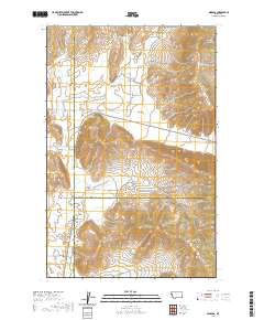 USGS US Topo 7.5-minute map for Niarada MT 2020