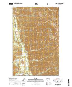USGS US Topo 7.5-minute map for Pagoda Mountain MT 2020