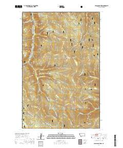 USGS US Topo 7.5-minute map for Parsnip Mountain MT 2020