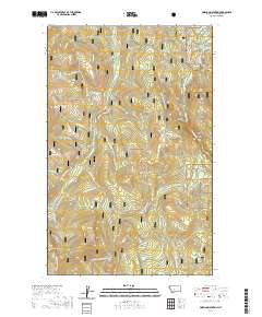 USGS US Topo 7.5-minute map for Pinkham Mountain MT 2020