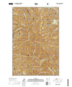 USGS US Topo 7.5-minute map for Priscilla Peak MT 2020