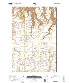 USGS US Topo 7.5-minute map for Rice Reservoir MT 2020