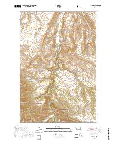 USGS US Topo 7.5-minute map for Riceville MT 2020