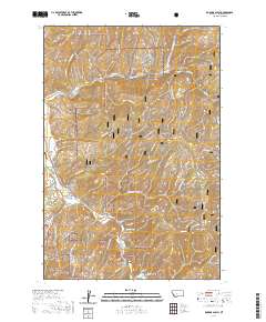 USGS US Topo 7.5-minute map for Robbins Gulch MT 2020