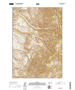 USGS US Topo 7.5-minute map for Roy Gulch MT 2020