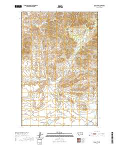 USGS US Topo 7.5-minute map for Ryan Butte MT 2020