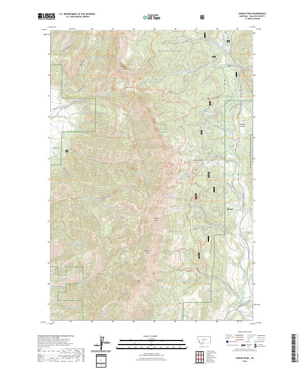 US Topo 7.5-minute map for Saddle Peak MT