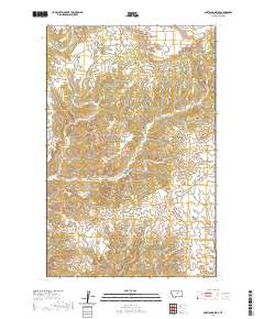 USGS US Topo 7.5-minute map for Shetland Divide MT 2020
