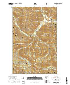 USGS US Topo 7.5-minute map for Skookoleel Creek MT 2020