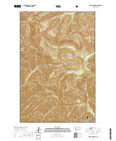 USGS US Topo 7.5-minute map for Spread Mountain MT 2020