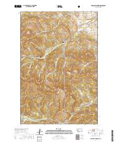 USGS US Topo 7.5-minute map for Steamboat Mountain MT 2020