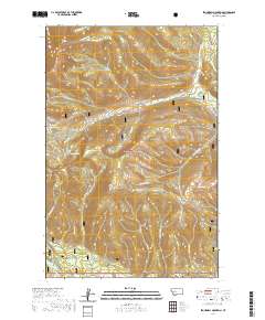 USGS US Topo 7.5-minute map for Stonewall Mountain MT 2020