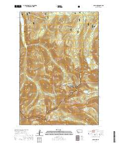 USGS US Topo 7.5-minute map for Storm Lake MT 2020