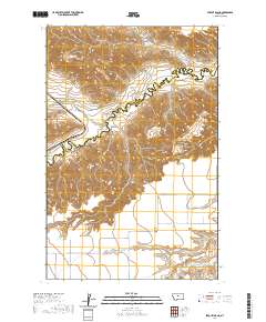 USGS US Topo 7.5-minute map for Strouf Island MT 2020