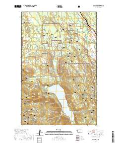 USGS US Topo 7.5-minute map for Tally Lake MT 2020