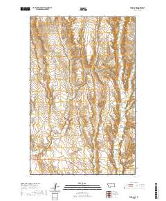 USGS US Topo 7.5-minute map for Tampico NE MT 2020
