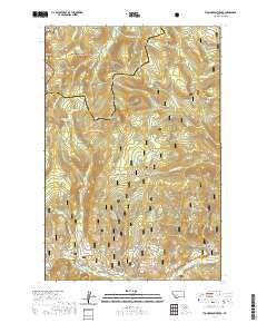 USGS US Topo 7.5-minute map for Thunderbolt Creek MT 2020