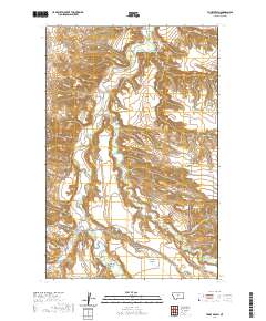 USGS US Topo 7.5-minute map for Toney Bench MT 2020