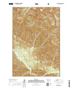 USGS US Topo 7.5-minute map for Trap Mountain MT 2020