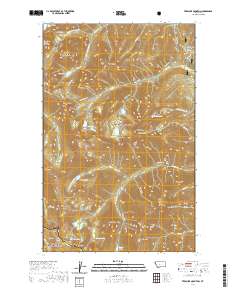 USGS US Topo 7.5-minute map for Treasure Mountain MT 2020