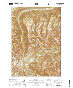 USGS US Topo 7.5-minute map for Tumble Mountain MT 2020