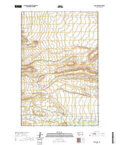 USGS US Topo 7.5-minute map for Twin Lakes MT 2020