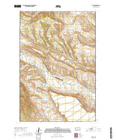 USGS US Topo 7.5-minute map for Tyler MT 2020